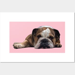 Lazy English Bulldog Posters and Art